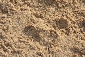 Намывной песок в пос. Сиверский